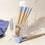 Set de Brochas de Maquillaje Ecotools Elements Water Glow 5 Piezas (5 pcs)