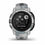 Pulsera de Actividad GARMIN 010-02563-03 Gris 0,79" Verde 40 mm