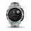 Pulsera de Actividad GARMIN 010-02563-03 Gris 0,79" Verde 40 mm