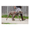 Arnés para Perro Company of Animals Halti Negro/Rojo L (80-120 cm)