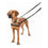 Arnés para Perro Company of Animals Halti Negro/Rojo L (80-120 cm)