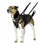 Arnés para Perro Company of Animals Halti Talla S (26-36 cm)