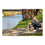 Arnés para Perro Company of Animals Halti Talla M (34-56 cm)