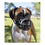 Bozal Company of Animals Baskerville Ultra Negro (6 x 26 cm)