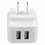 Cargador portátil Startech USB2PACWH            Negro 65 W