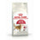 Comida para gato Royal Canin Regular Fit 32 Adulto Maíz Aves 400 g
