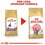 Comida para gato Royal Canin Arroz Vegetal Aves 10 kg