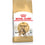 Comida para gato Royal Canin Bengal Adult Adulto Vegetal Aves 10 kg