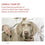 Pienso Royal Canin 12 kg
