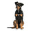 Collar para Perro Hunter Swiss 30-34.5 cm