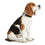 Collar para Perro Hunter Alu-Strong Talla S Azul oscuro (30-45 cm)