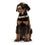 Collar para Perro Hunter Alu-Strong Beige Talla M (40-55 cm)