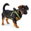 Arnés para Perro Hunter Hilo-Comfort Lima M (55-60 cm)