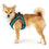 Arnés para Perro Hunter Hilo-Comfort Turquesa XS/S (37-42 cm)