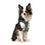 Arnés para Perro Hunter Hilo Comfort 55-60 cm Talla M Turquesa