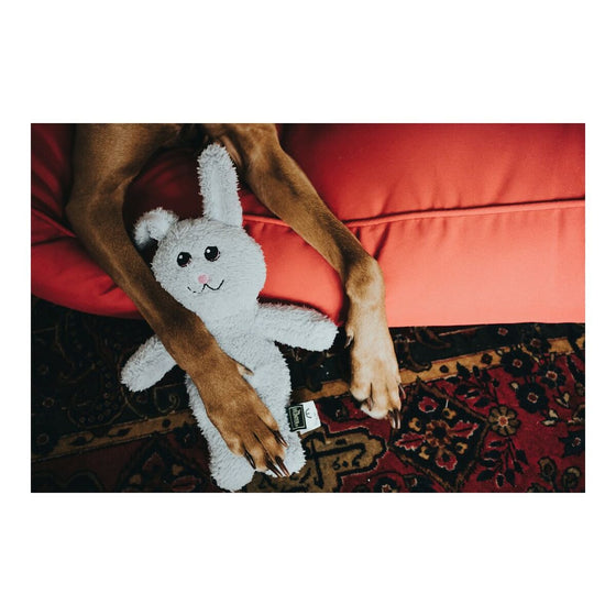 Juguete para perros Hunter Terni Gris Conejo