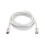 Cable Startech TBLT3MM2MW