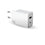 Cargador de Pared Big Ben Interactive FPLICS2AC37WPDW