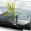 Filtro de agua Marshall Piedra Acuario