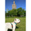 Arnés para Perro Matteo                                 30-50 cm Estampado