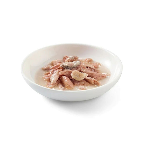 Comida para gato SCHESIR Pescado 70 g