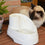 Bebedero Refrescante para Mascotas Ferplast Vega Sanitized 23,1 x 16,2 x 29,7 cm