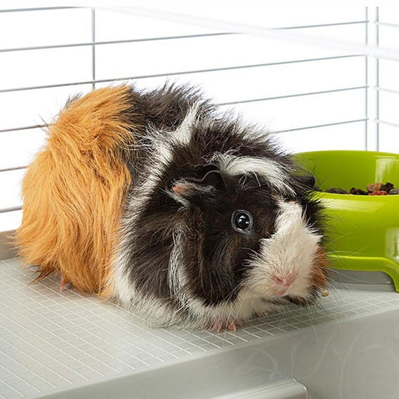 Jaula Ferplast 57065070 Metal Plástico Metal/Plástico 70 x 70 x 48 cm