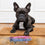 Correa para Perro Superman Rosa M