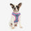 Arnés para Perro Superman Rosa M/L
