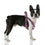 Arnés para Perro Superman Rosa M/L