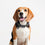 Collar para Perro The Mandalorian Gris S/M