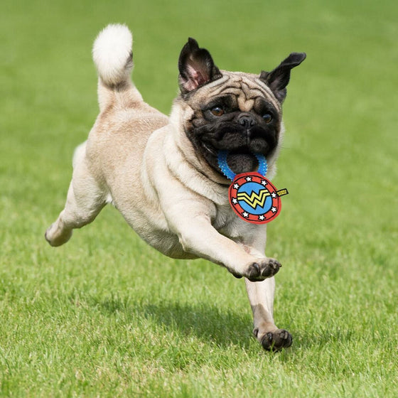 Juguete para perros Wonder Woman   Azul 100 % poliéster