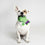 Juguete para perros The Avengers Verde 100 % poliéster