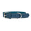 Collar para Perro Gloria Oasis Azul (1,5 x 40 cm)