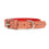 Collar para Perro Gloria Oasis Rojo (1,5 x 40 cm)