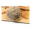Caña para gatos Gloria Gaudí Madera Pompón (6 cm)