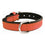 Collar para Perro Gloria Acolchado Coral (40 x 2 cm)