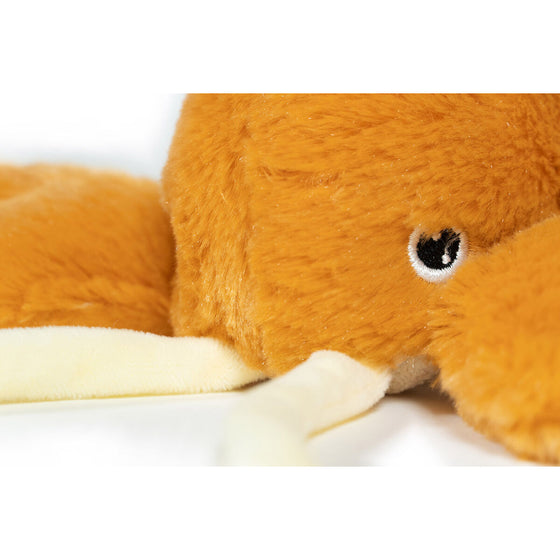 Juguete para perros Gloria Naranja Polipropileno