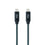 Cable USB C NANOCABLE 10.01.4301-L150-COMB 1,5 m