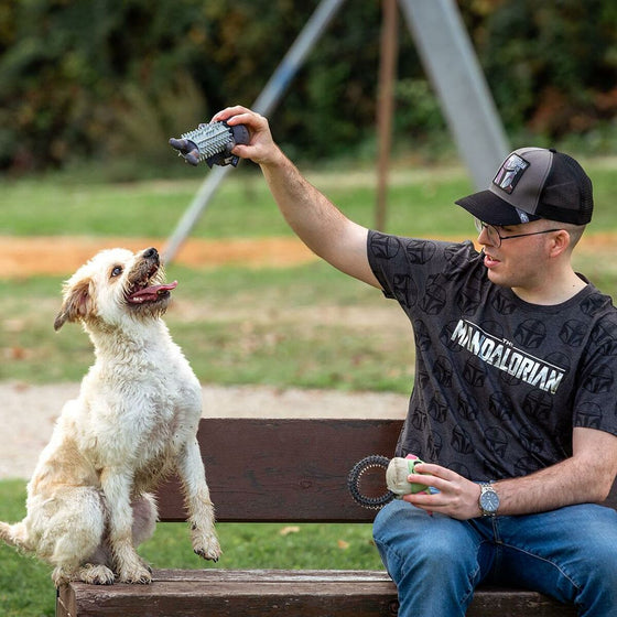 Juguete para perros The Mandalorian   Gris (9 x 28 x 9 cm)