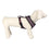 Arnés para Perro Deadpool XXS/XS Negro