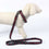 Collar para Perro Deadpool Negro S/M