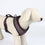 Arnés para Perro Deadpool Negro M/L