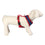 Arnés para Perro DC Pets Azul M/L