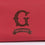 Neceser de Viaje Harry Potter Gryffindor Rojo 21 x 11 x 7 cm
