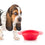 Comedero Plegable para Mascotas Heart