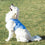 Chaleco Refrescante para Mascotas Grandes InnovaGoods - L