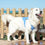 Chaleco Refrescante para Mascotas Grandes InnovaGoods - L