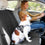 Funda Protectora de Asiento Individual de Coche para Mascotas KabaPet InnovaGoods