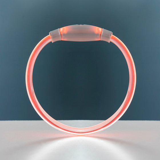 Collar LED para Mascotas Petlux InnovaGoods